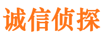 湘东市侦探调查公司